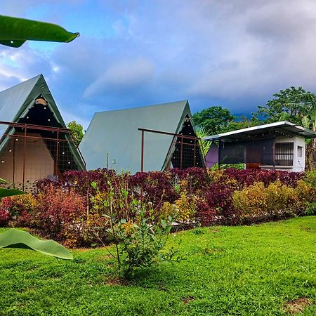 ラ・フォルトゥナ Flora Glamping De Abuelaヴィラ エクステリア 写真