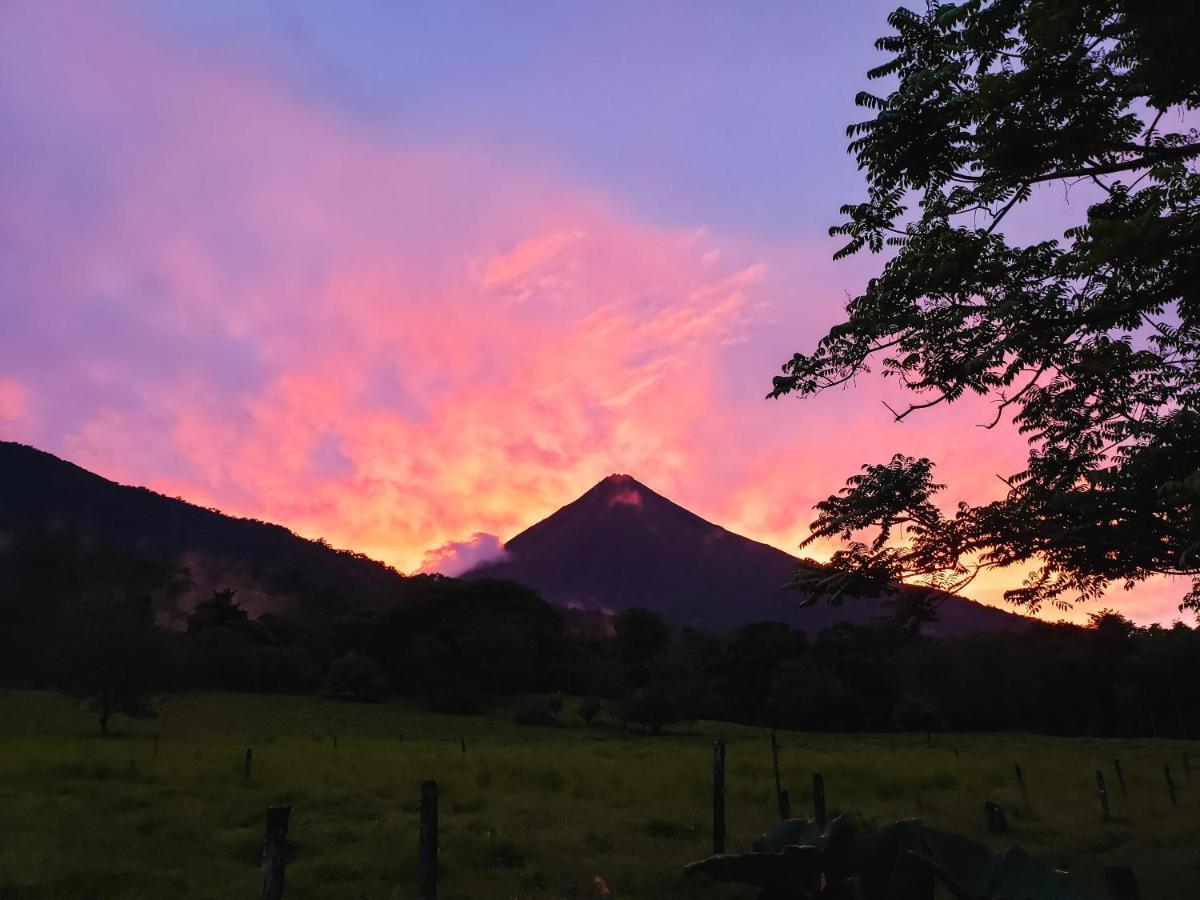 ラ・フォルトゥナ Flora Glamping De Abuelaヴィラ エクステリア 写真