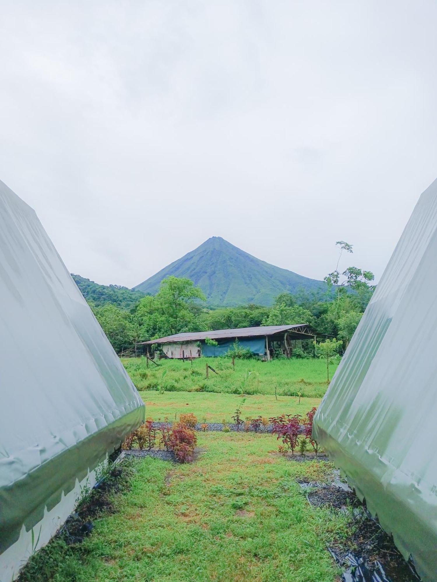 ラ・フォルトゥナ Flora Glamping De Abuelaヴィラ エクステリア 写真