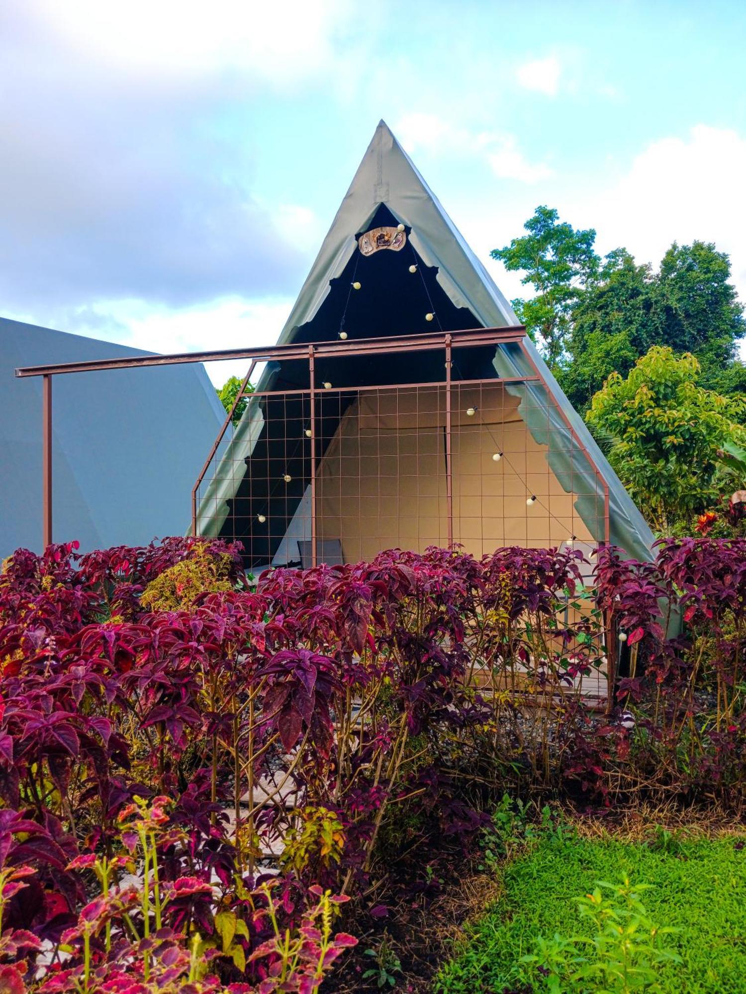 ラ・フォルトゥナ Flora Glamping De Abuelaヴィラ エクステリア 写真