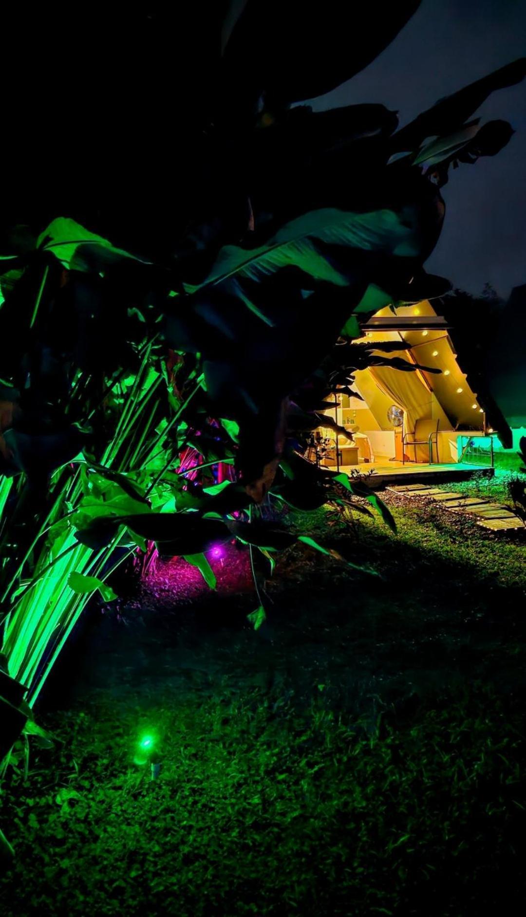 ラ・フォルトゥナ Flora Glamping De Abuelaヴィラ エクステリア 写真