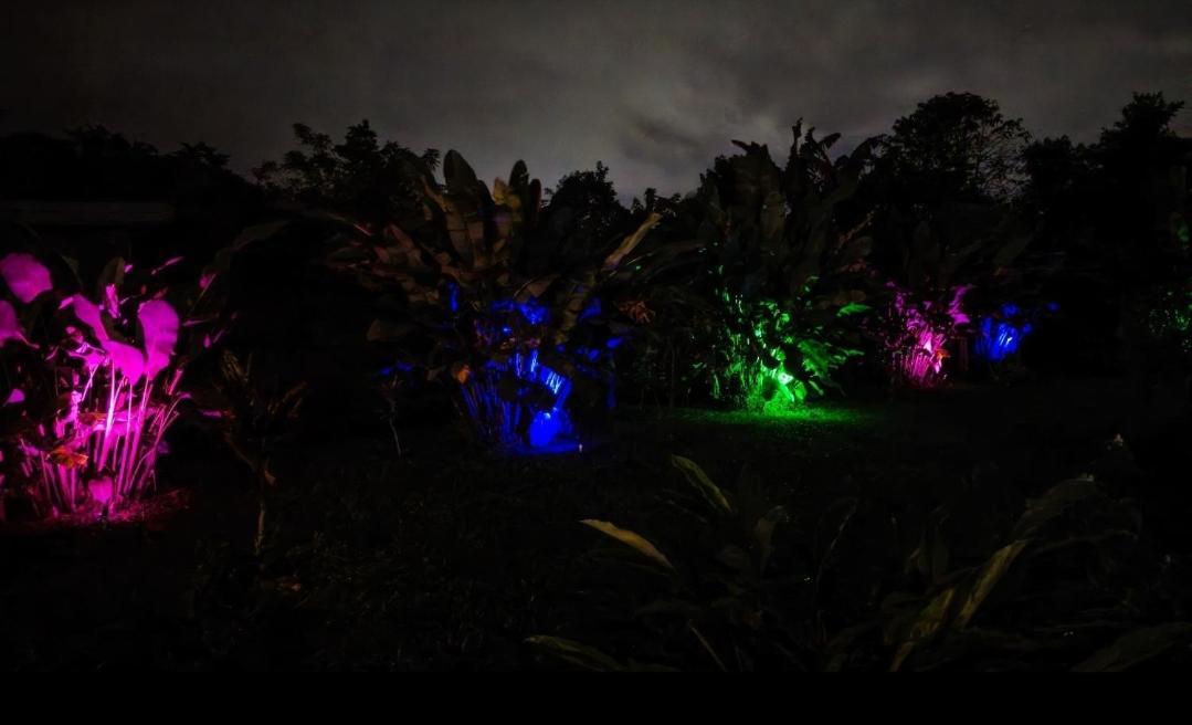 ラ・フォルトゥナ Flora Glamping De Abuelaヴィラ エクステリア 写真